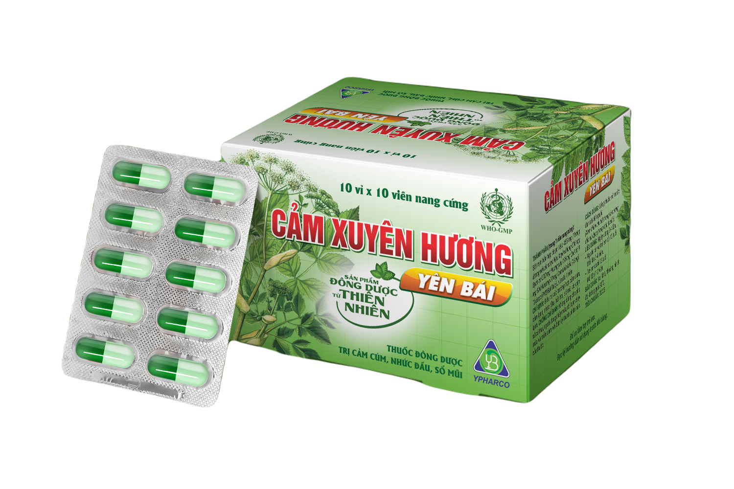 Thuốc Cảm Xuyên Hương_thumbnail_1