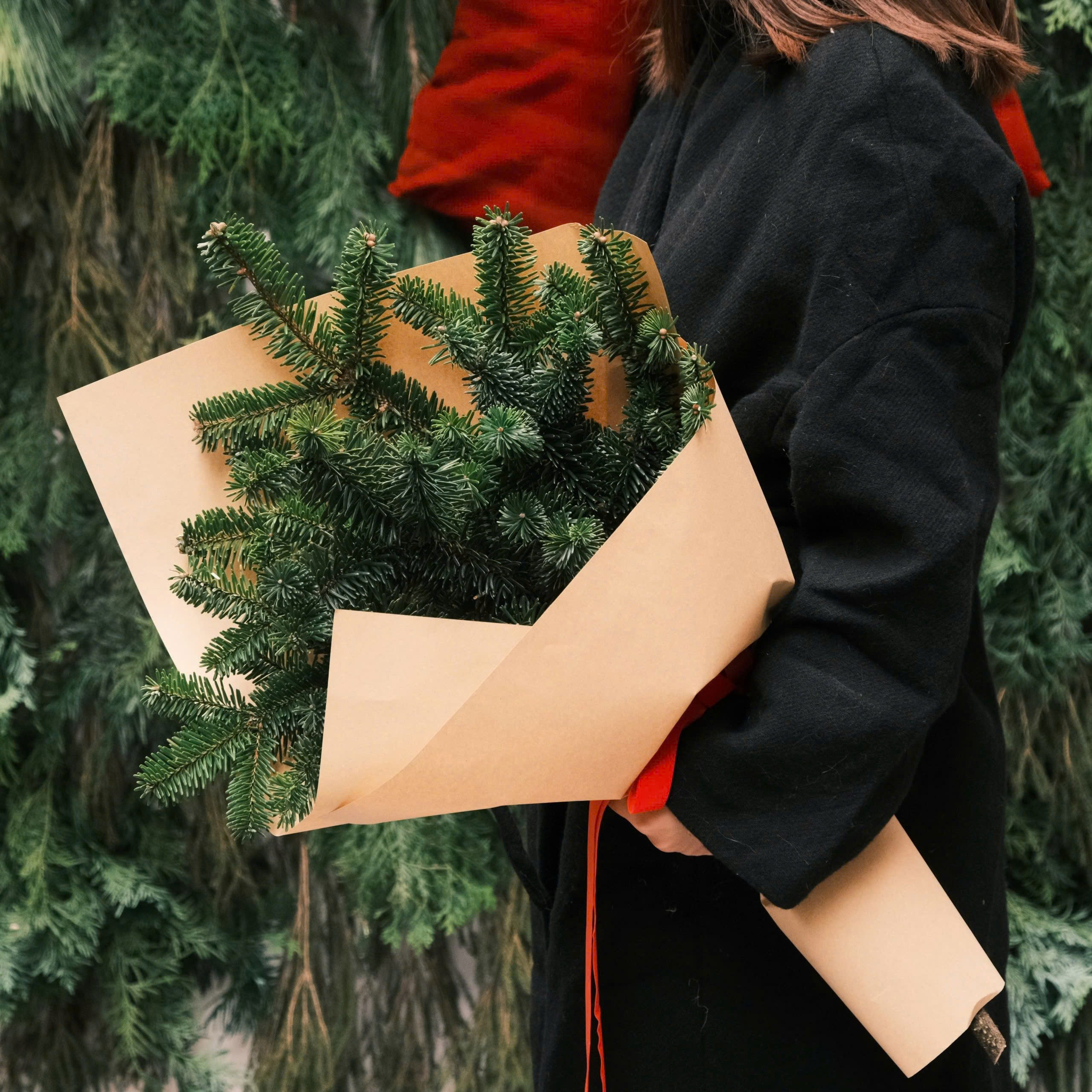 Bó cành thông (Côn Minh) - Size M