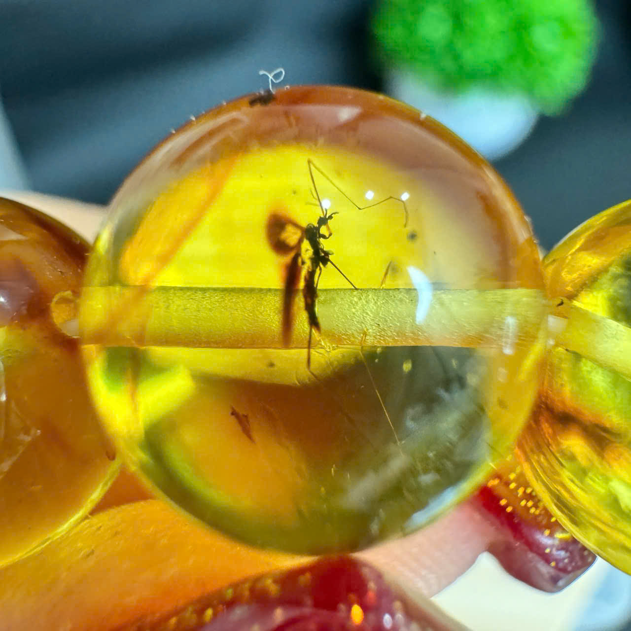 Chuỗi Lắc Tay Full Côn Trùng - M29_thumbnail_4