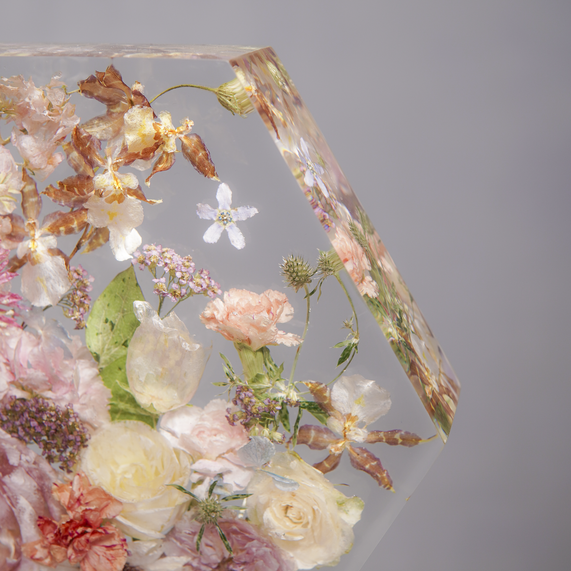 Đèn Hoa Độc Bản Bloomlight BLL2409-21_thumbnail_2