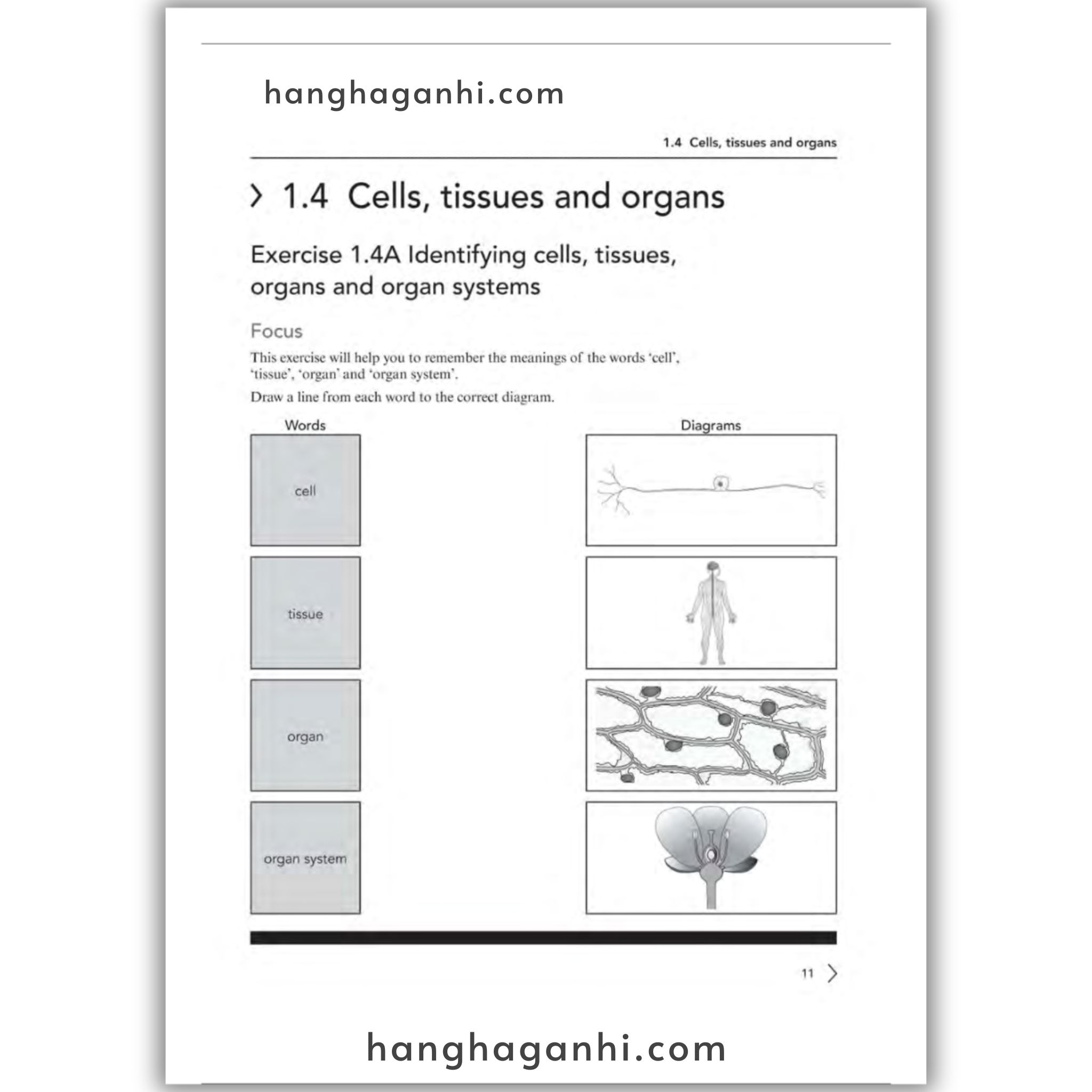 Cambridge Level 7 Lower Seconday Science Workbook 2nd Edition 2021_thumbnail_8