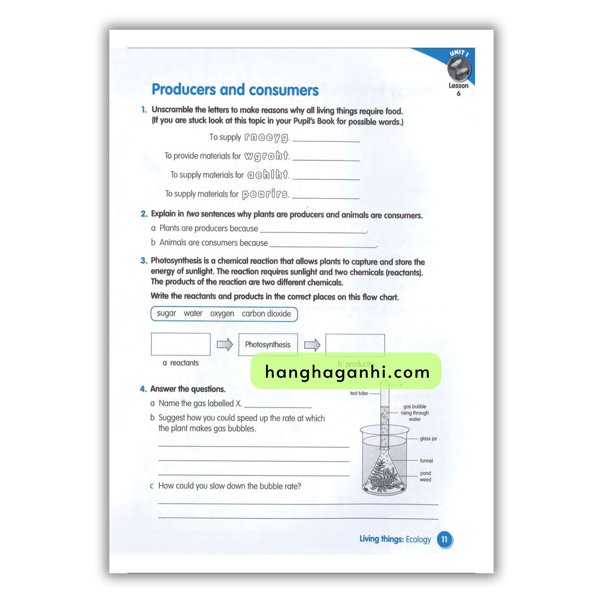 Macmillan Science 5 Workbook_thumbnail_14