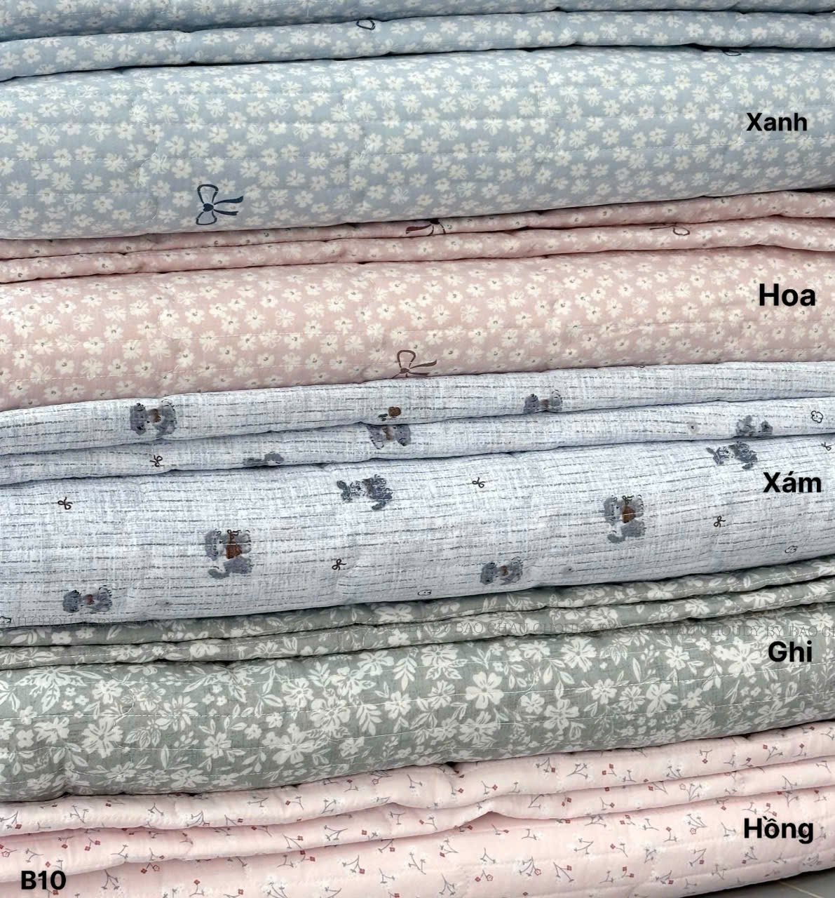 B10 BỘ GA NỆM 5 MÀU_thumbnail_2