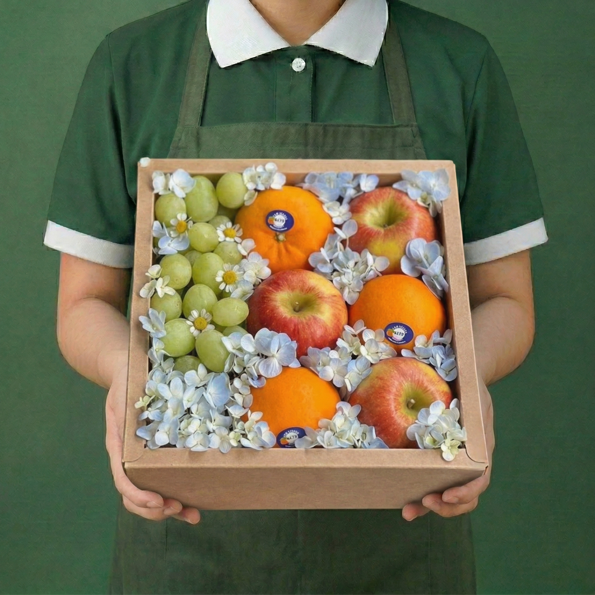 Hộp quà tặng trái cây - H601