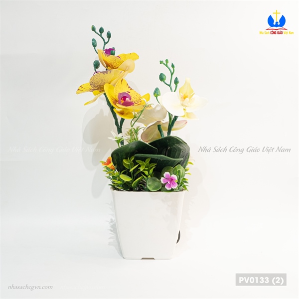 Hoa địa lan_thumbnail_1