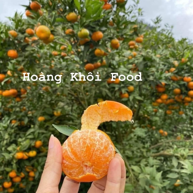 Cam Canh Mộc Châu_thumbnail_2