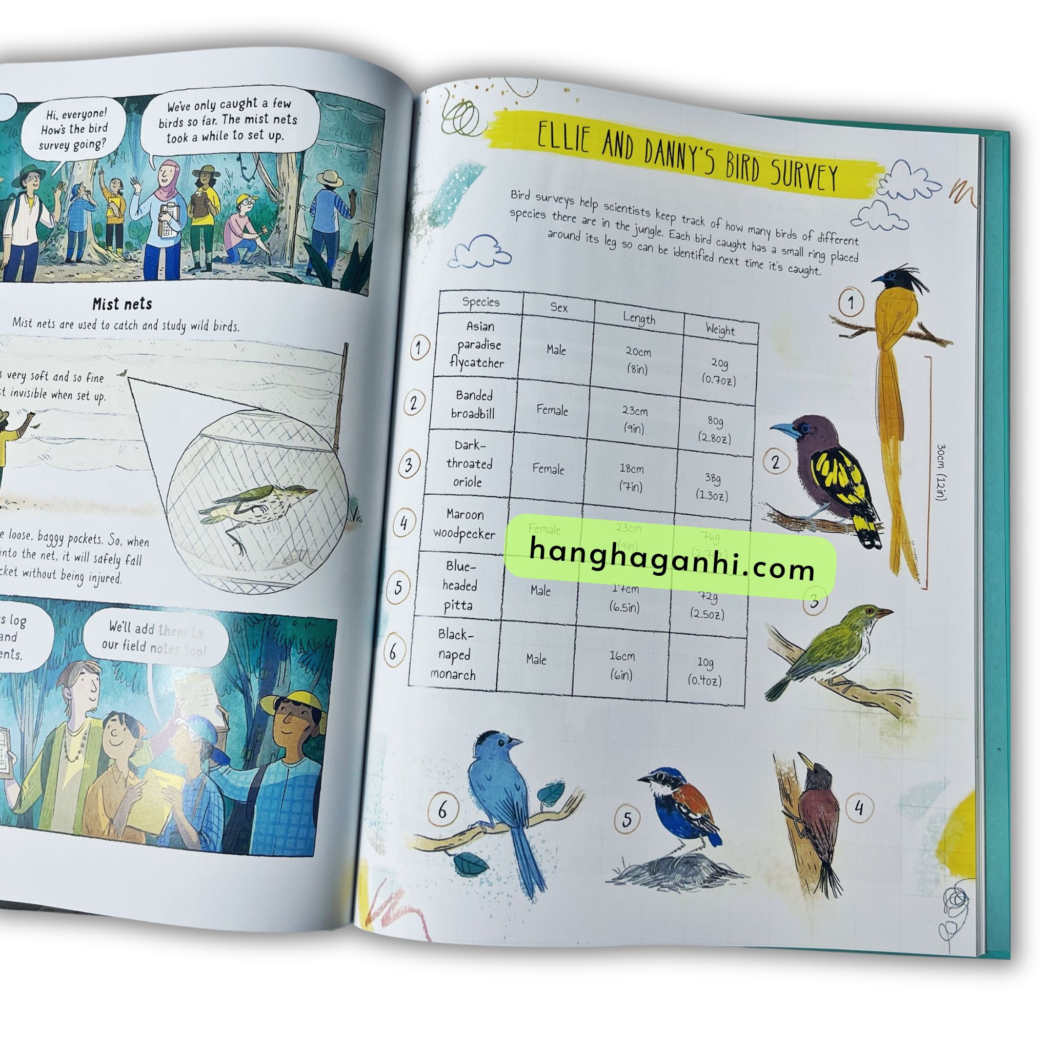 Usborne 24 Hours- Bộ 4 cuốn bìa cứng [Sách Nhập Khẩu]_thumbnail_5