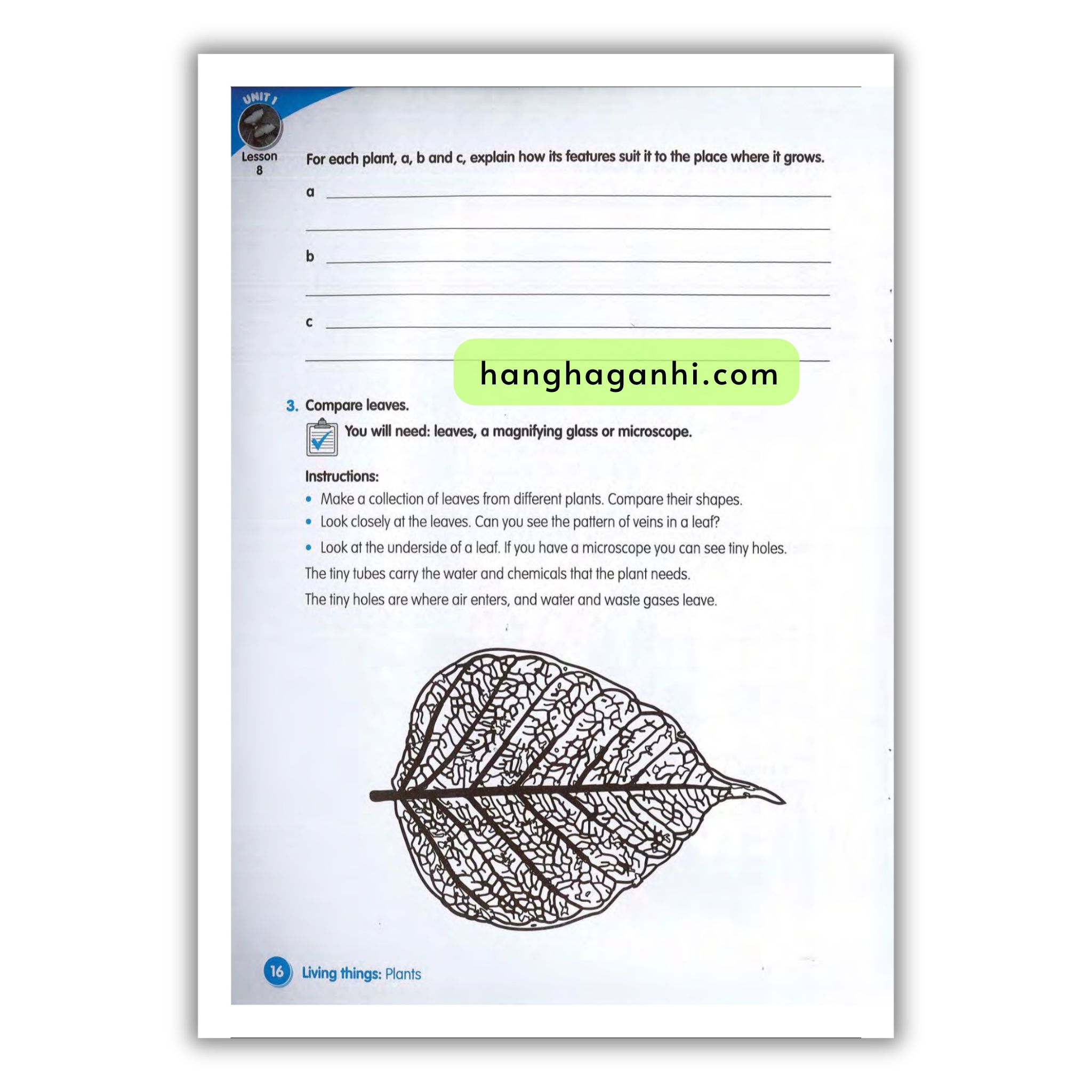 Macmillan Science 4 Workbook_thumbnail_16