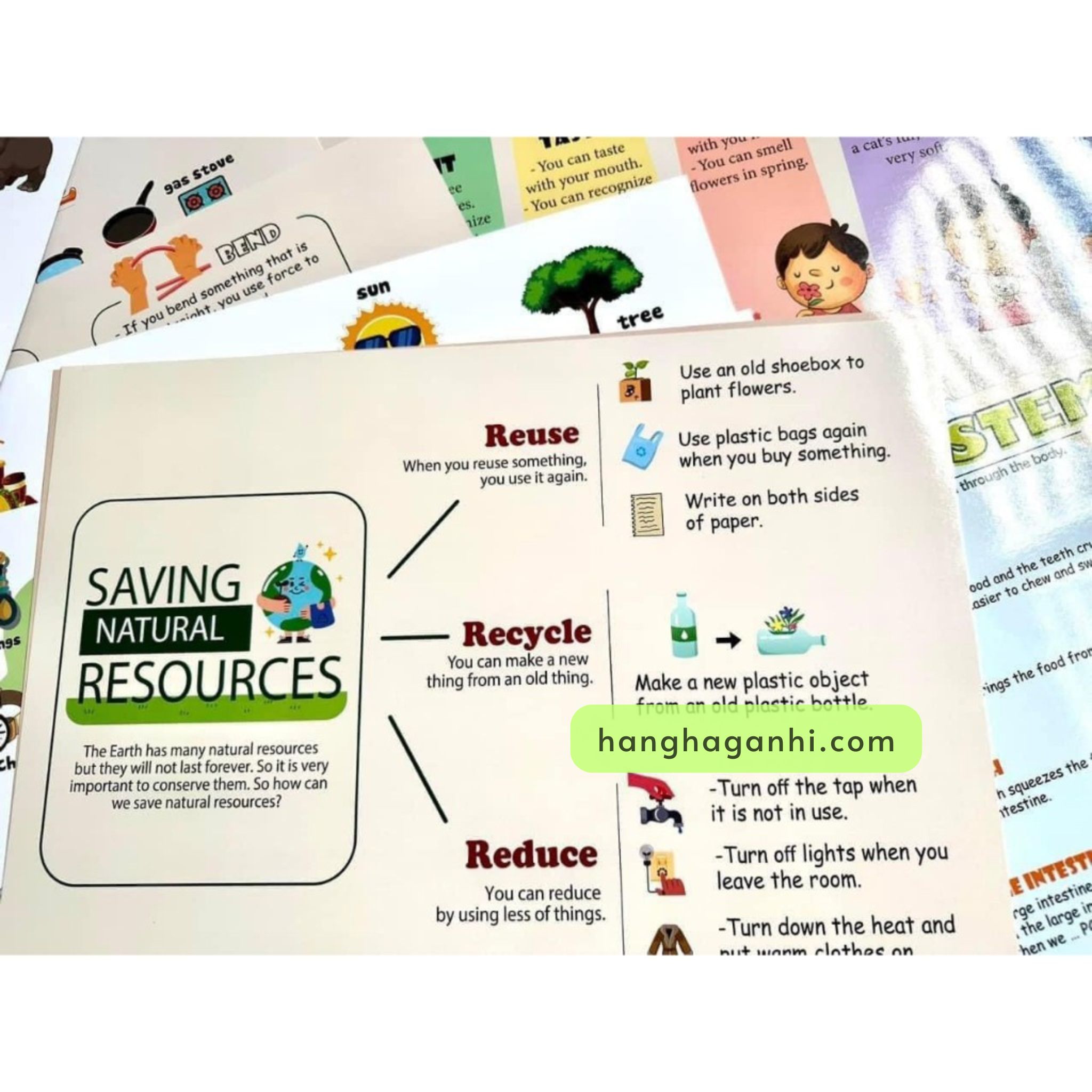 Bộ Mindmap Thuyết Trình 46 Chủ Đề Theo Sơ Đồ Tư Duy_thumbnail_2