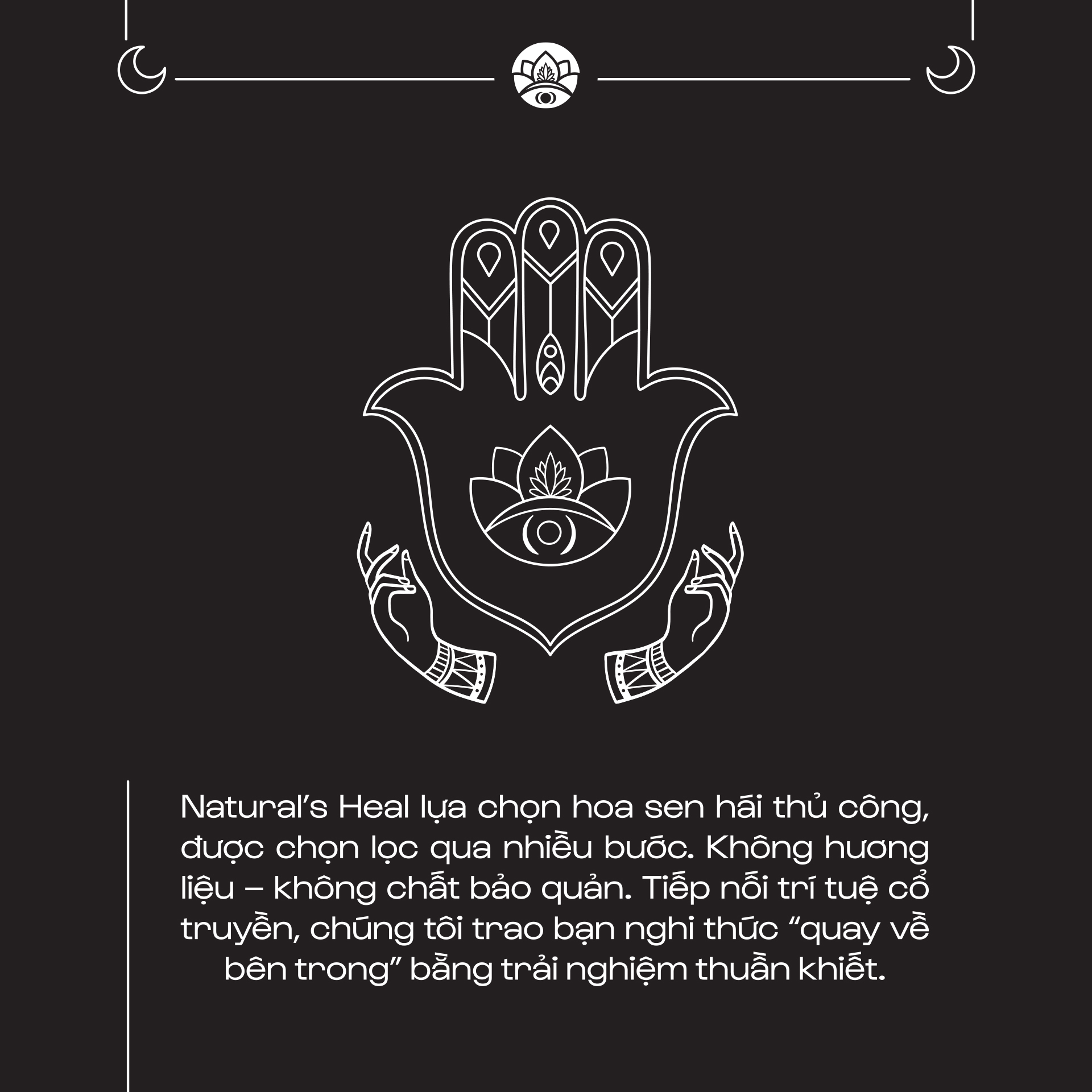 Blue Lotus - Sen Xanh Ai Cập - Cánh hoa lặt thủ công - Nguyên Liệu Thô | Hoa Khô_thumbnail_5