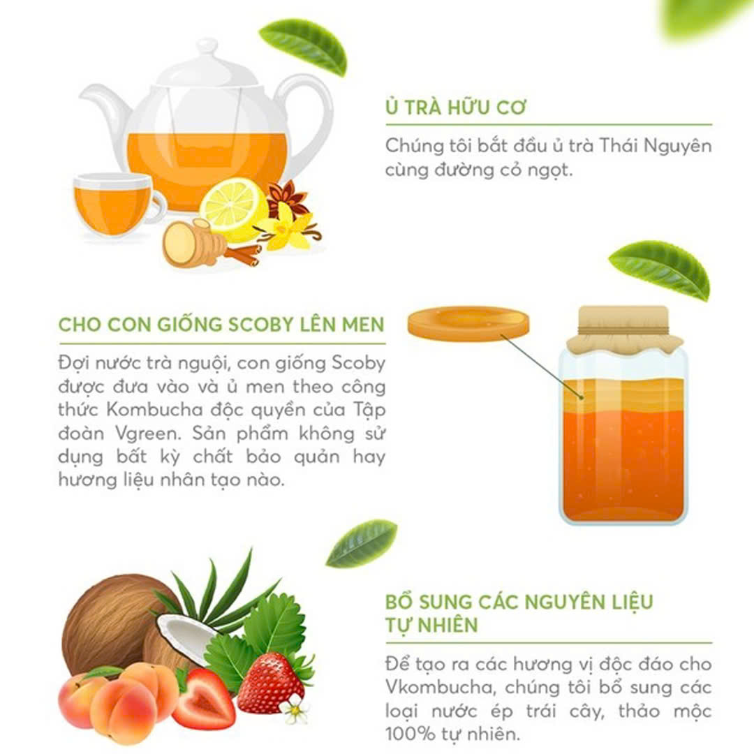 VKombucha Chill Trà Bất Tử 1000ml_thumbnail_2