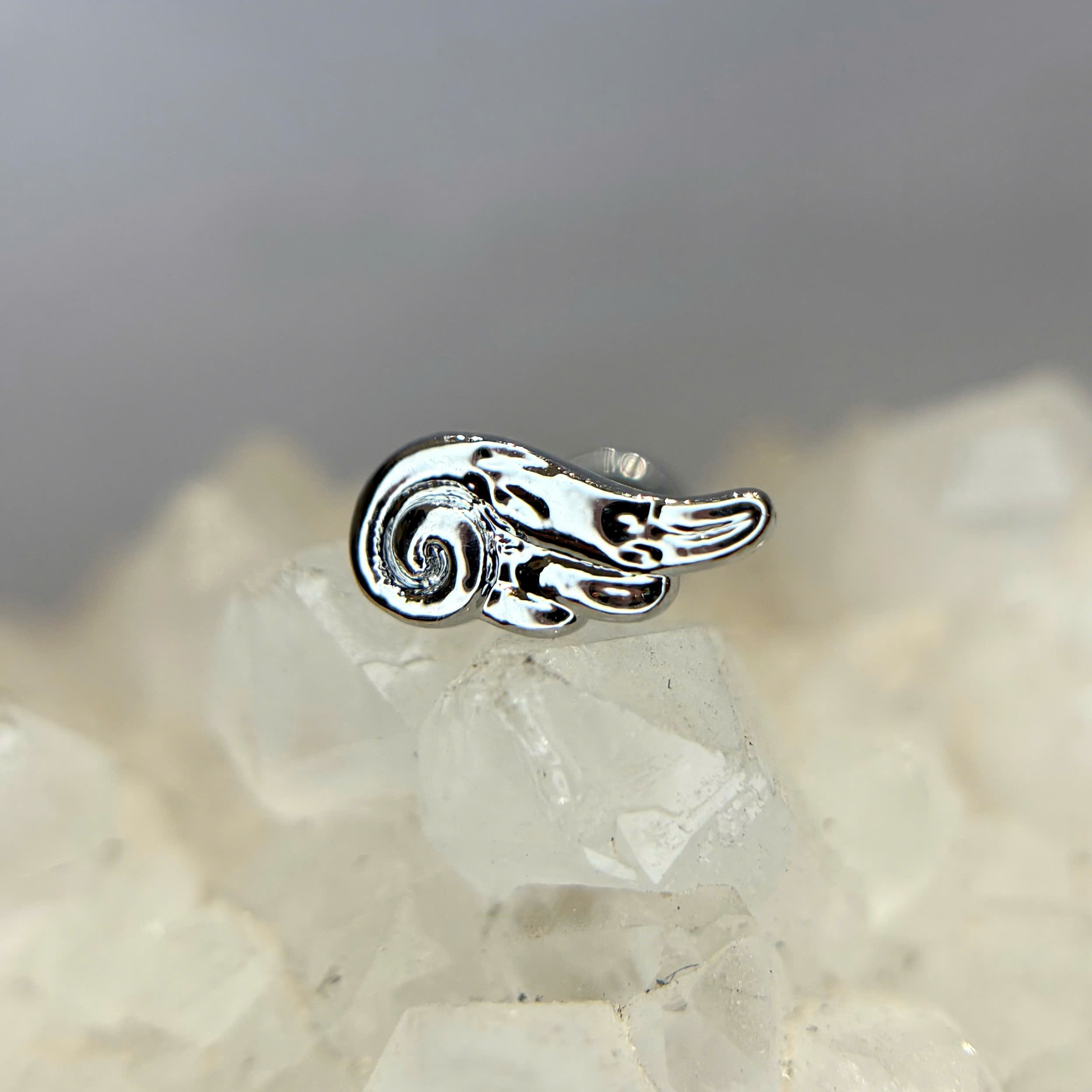 Khuyên kiểu hình cái cánh bi vặn_thumbnail_2