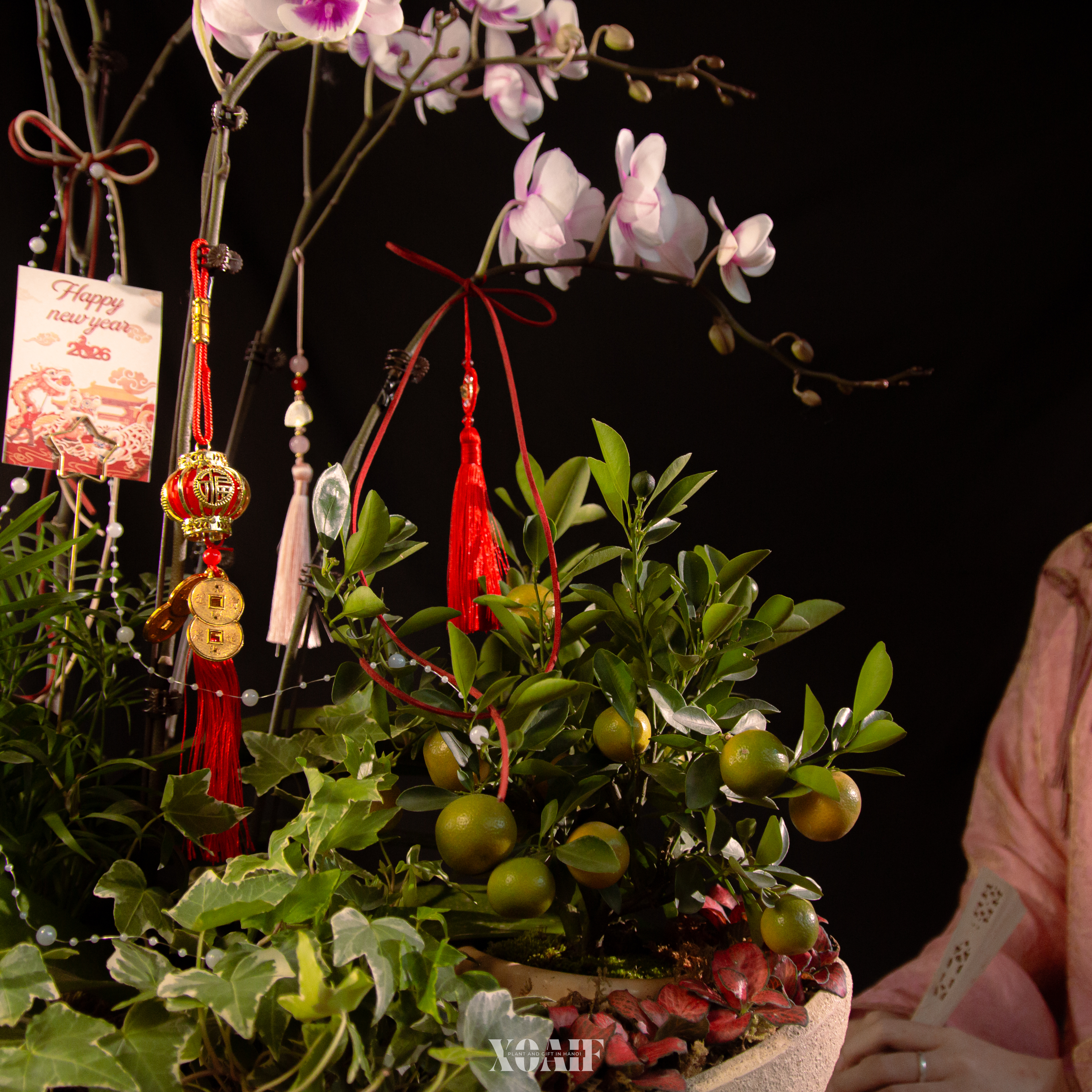 ĐĨNH XUÂN GIAO_thumbnail_6