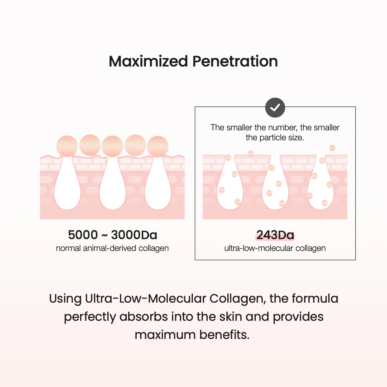 Biodance Collagen Ampoule 50ml_thumbnail_6