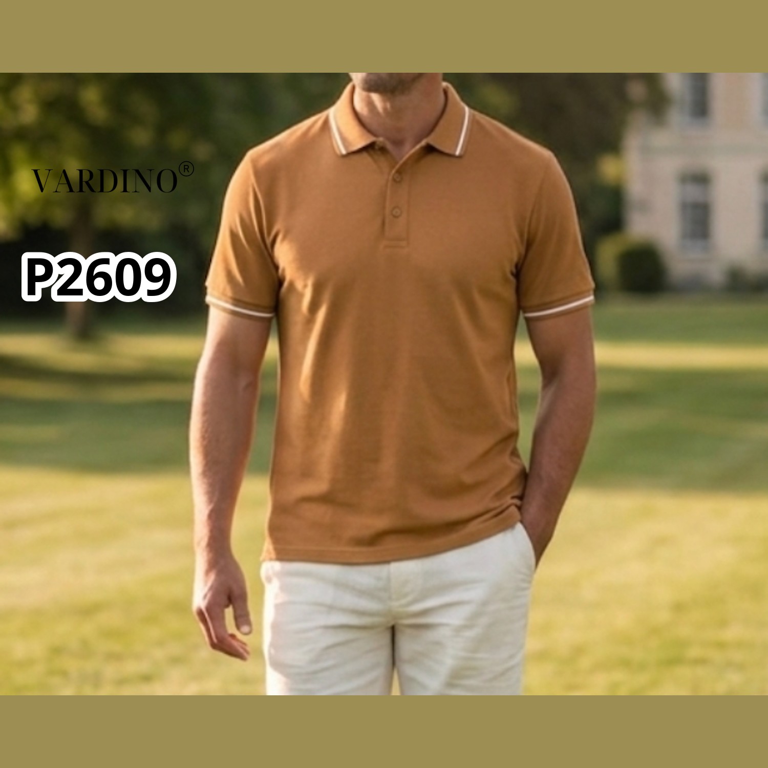 Áo polo nam Vardino P2609_thumbnail_1