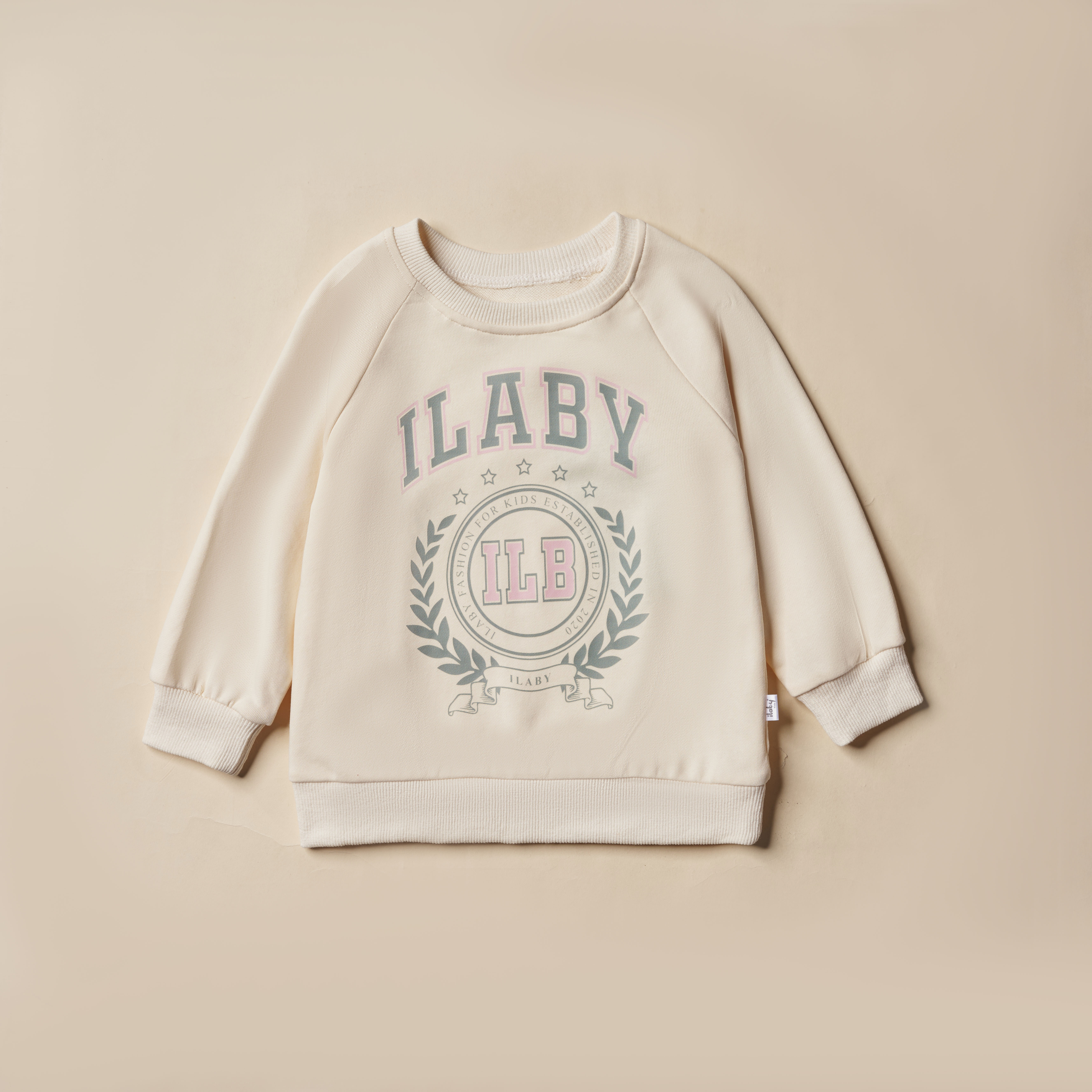 Áo nỉ tay jaglan in hình