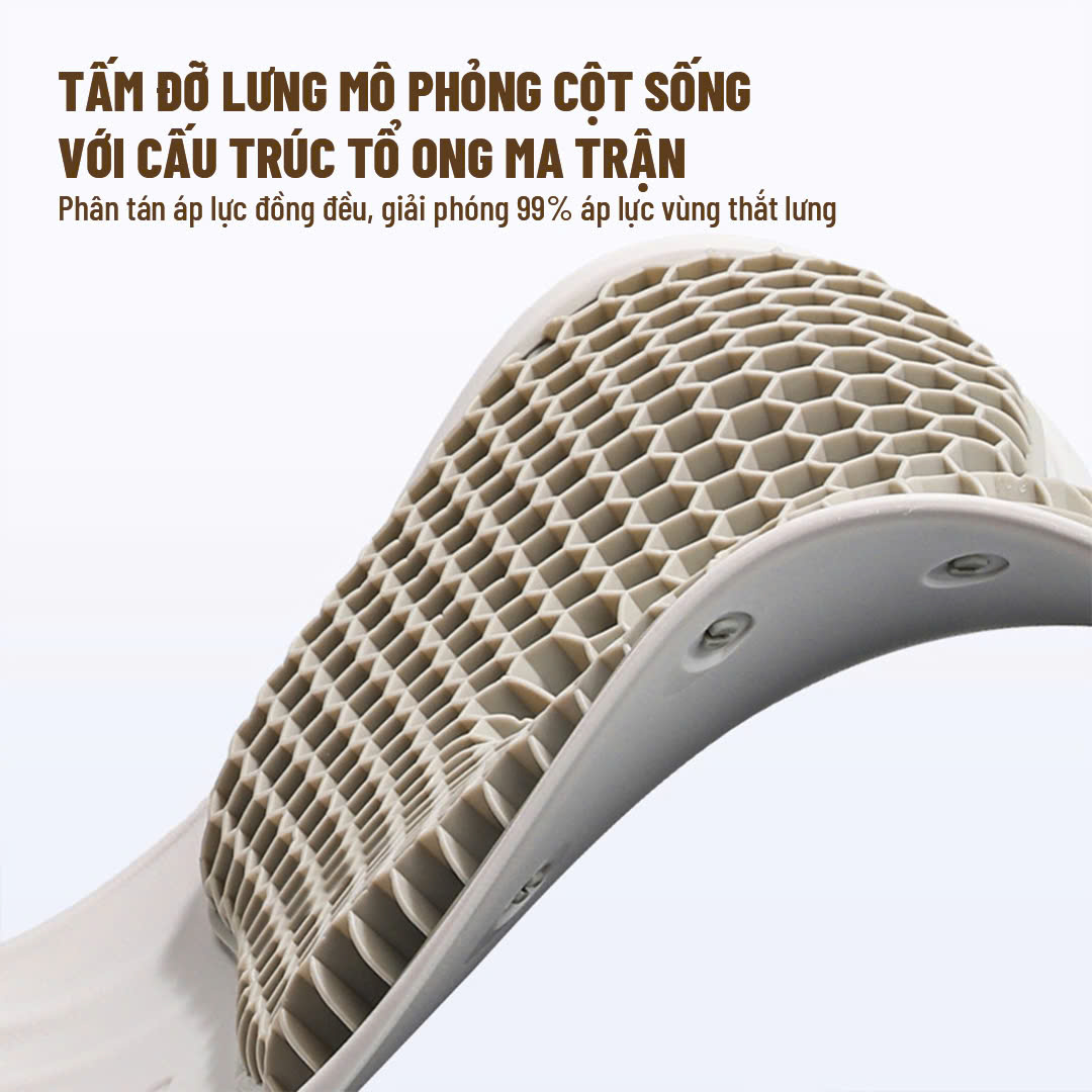 GHẾ CURBLE CÔNG THÁI HỌC_thumbnail_4