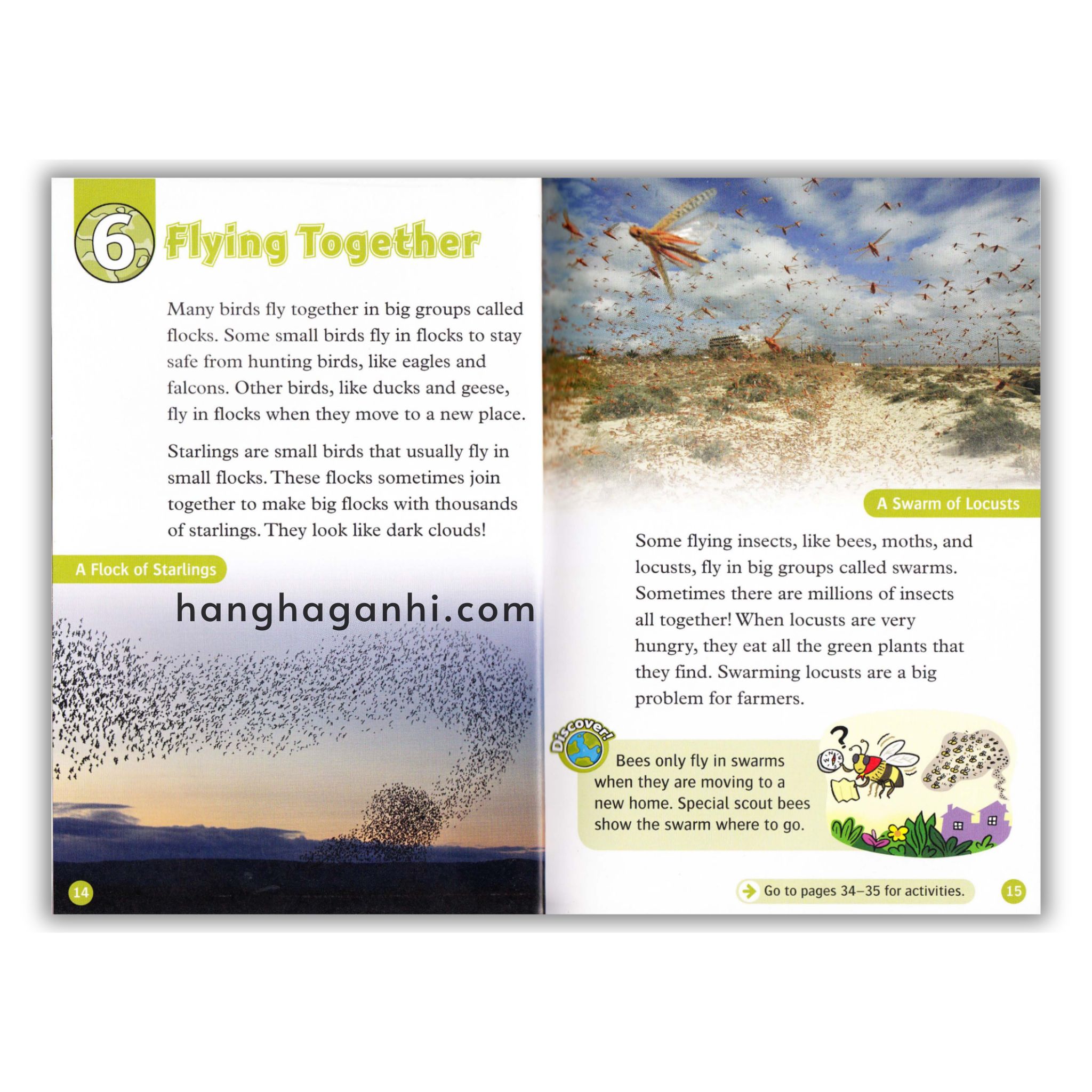 Bộ Oxford Read and Discover/Imagine Level 1,2,3,4,5,6- Sách Nhập nguyên seal kèm file nghe_thumbnail_21