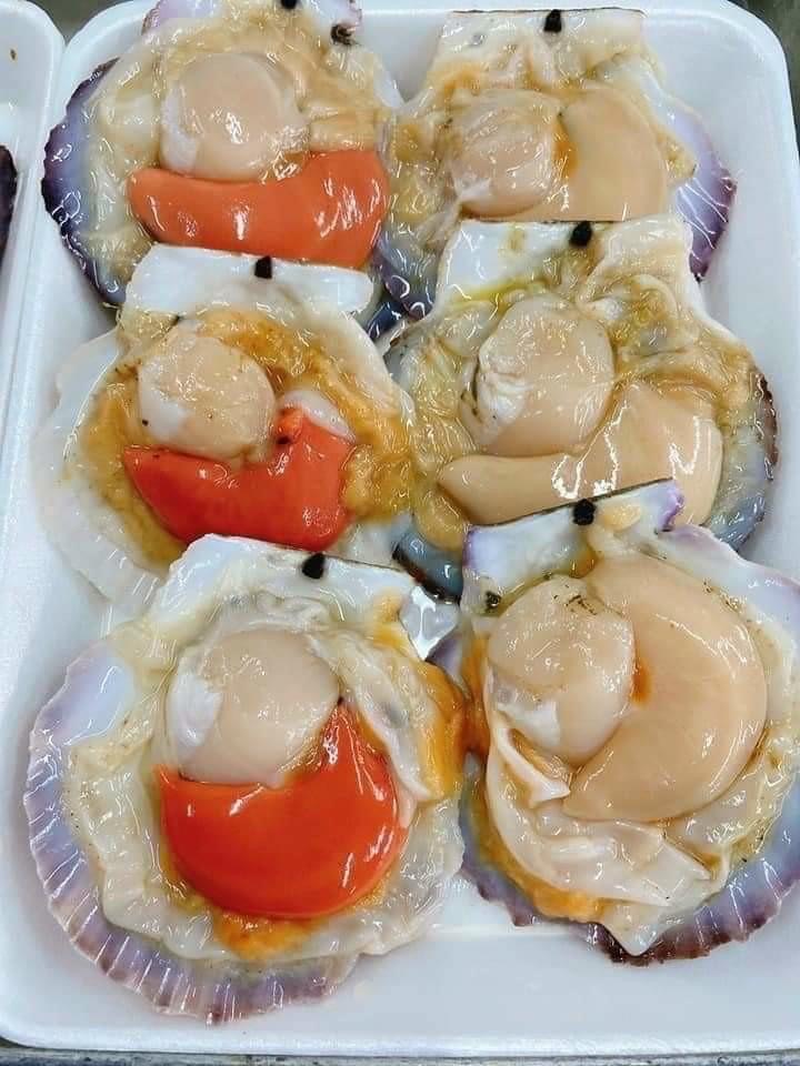 Sò Điệp Nhật nguyên con_thumbnail_8
