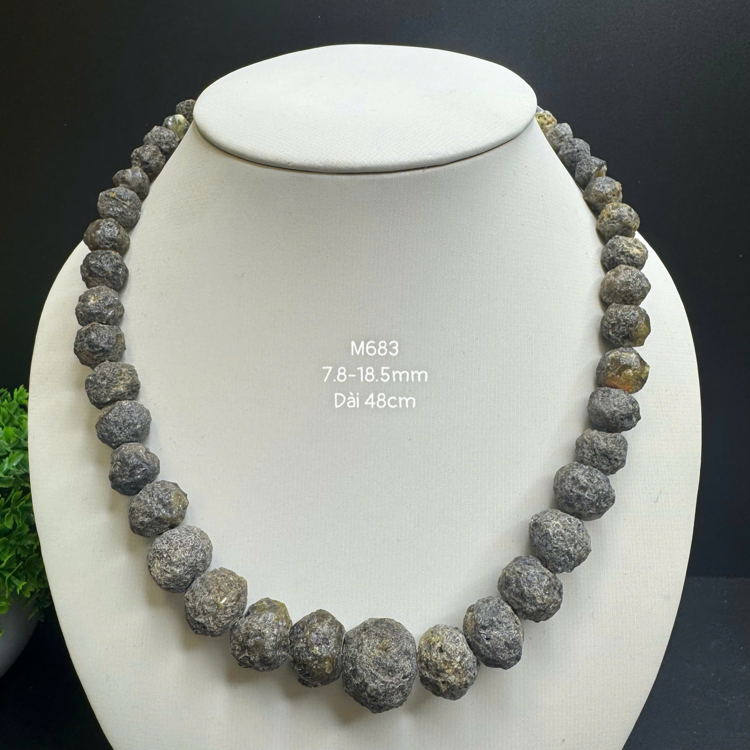 Vòng Cổ Thô Y Tế - M683