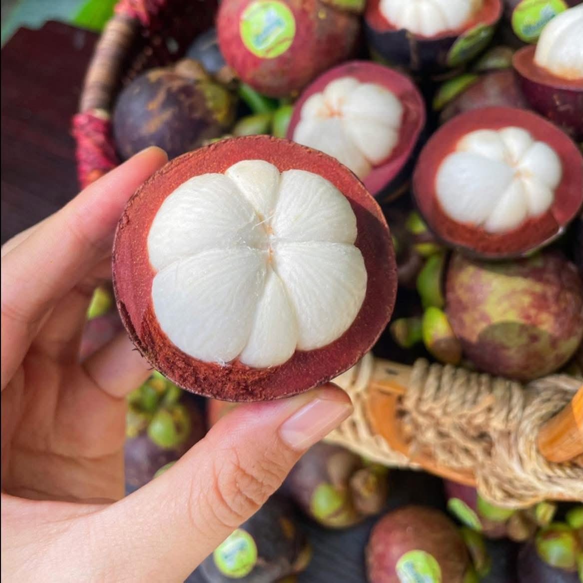 Măng Cụt Long Khánh_thumbnail_2