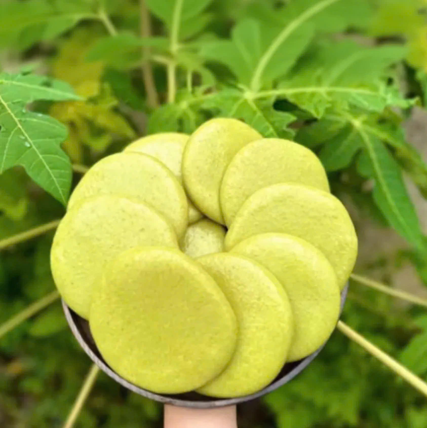 Bánh dày cốm dừa Tây Bắc_thumbnail_2