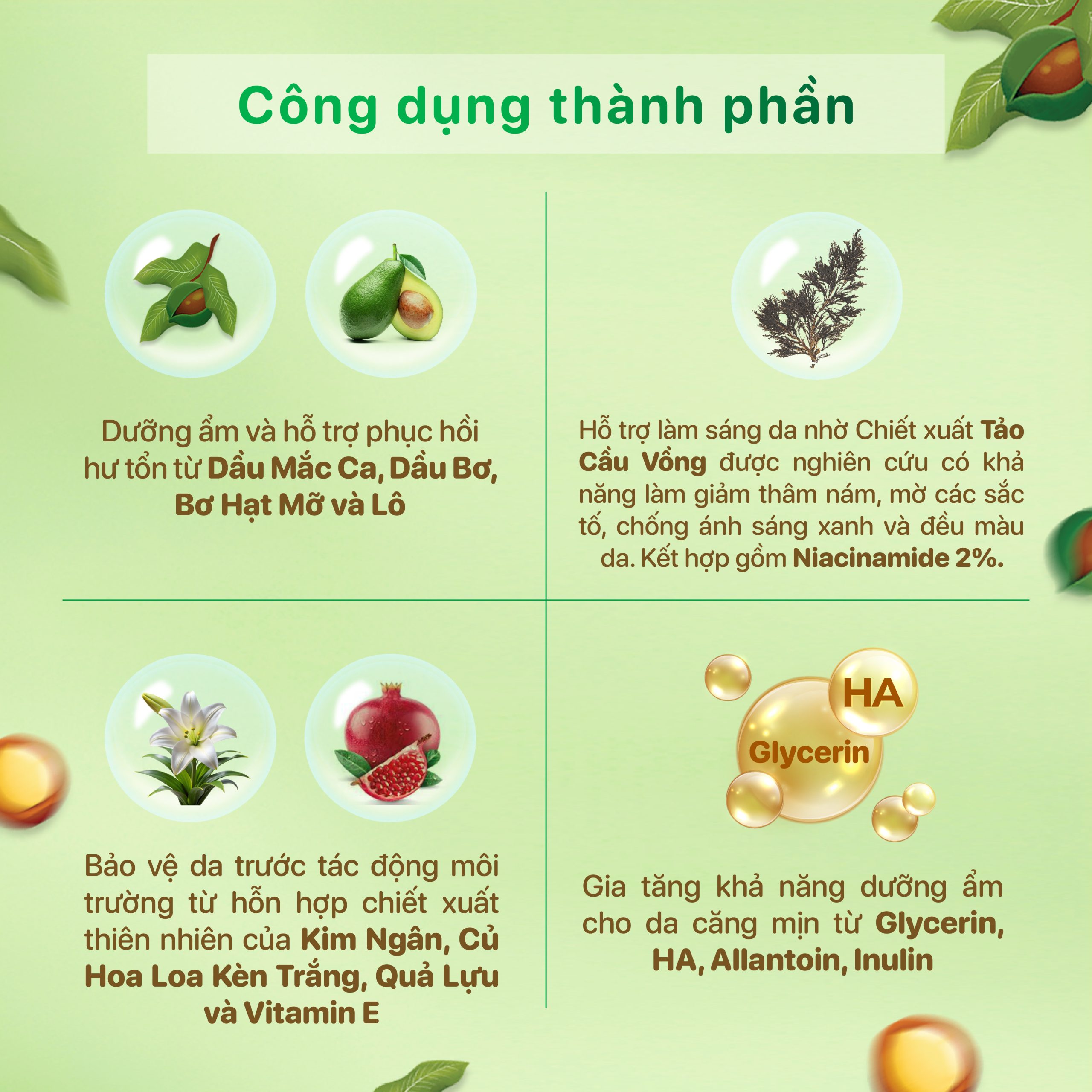 thành-phần-sữa-dưỡng-thể-body-lotion