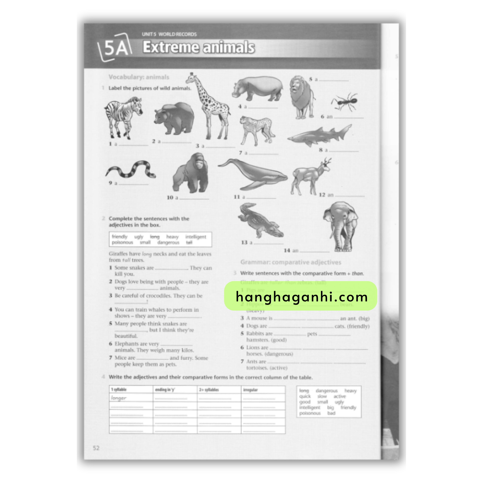 English Explorer 2 Workbook_thumbnail_10