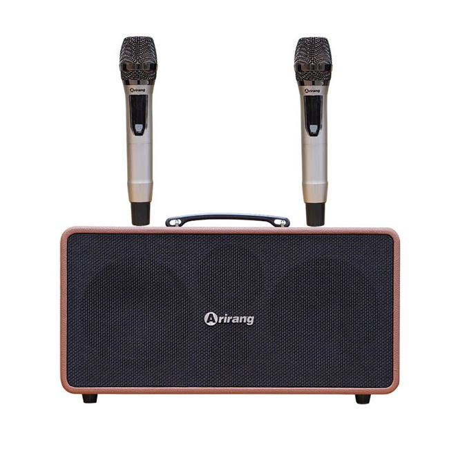 LOA KARAOKE DI ĐỘNG_12