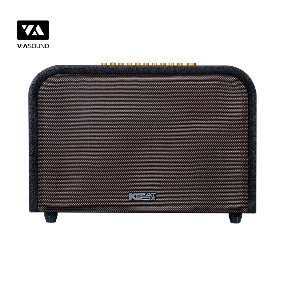 Loa Kéo ACNOS ACOUSTIC 3_thumbnail_3