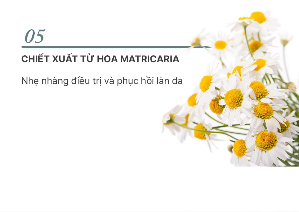 Tinh chất dưỡng ẩm, làm dịu da Elravie Pro Relaxing 50ml_thumbnail_7
