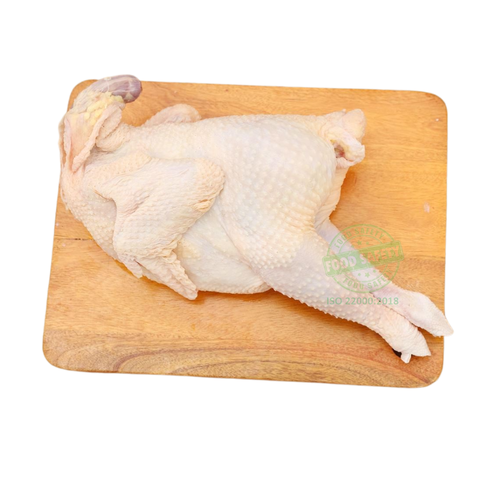 Gà Non | 1 con 800G