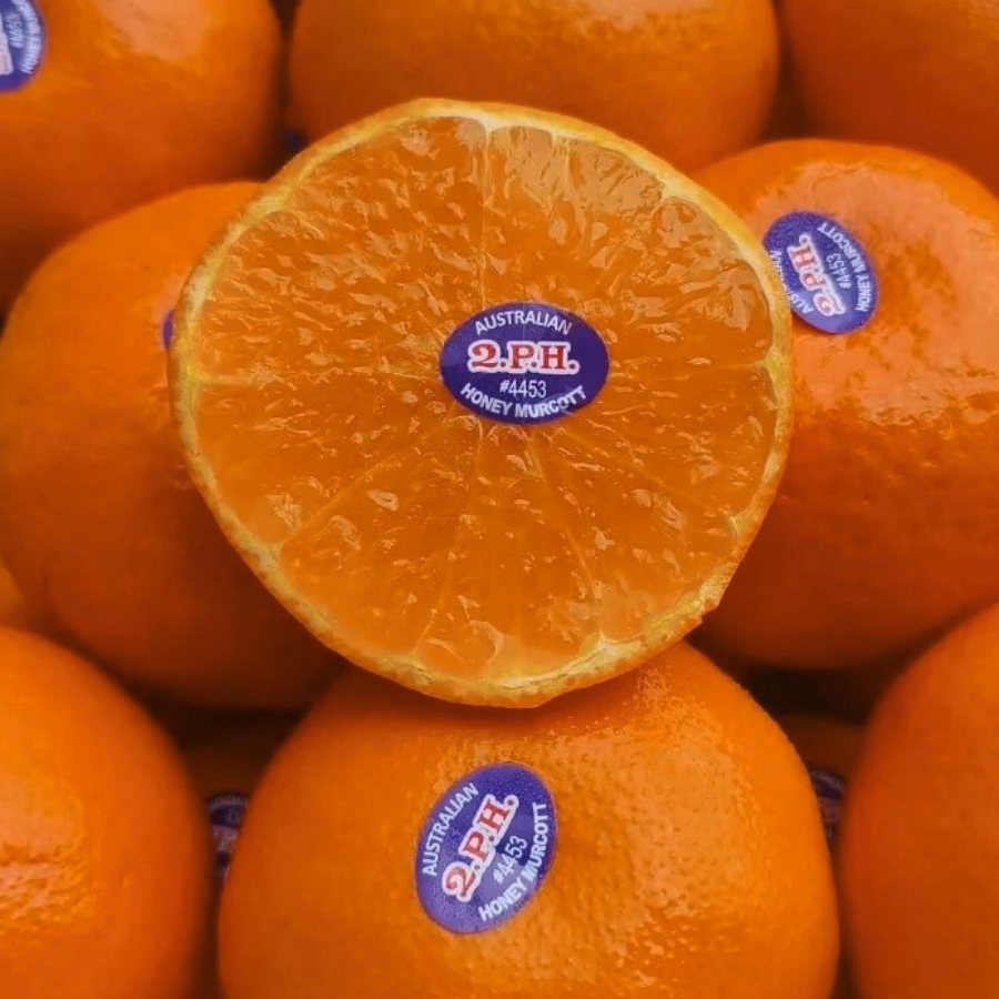 Quýt Úc Vàng_thumbnail_5