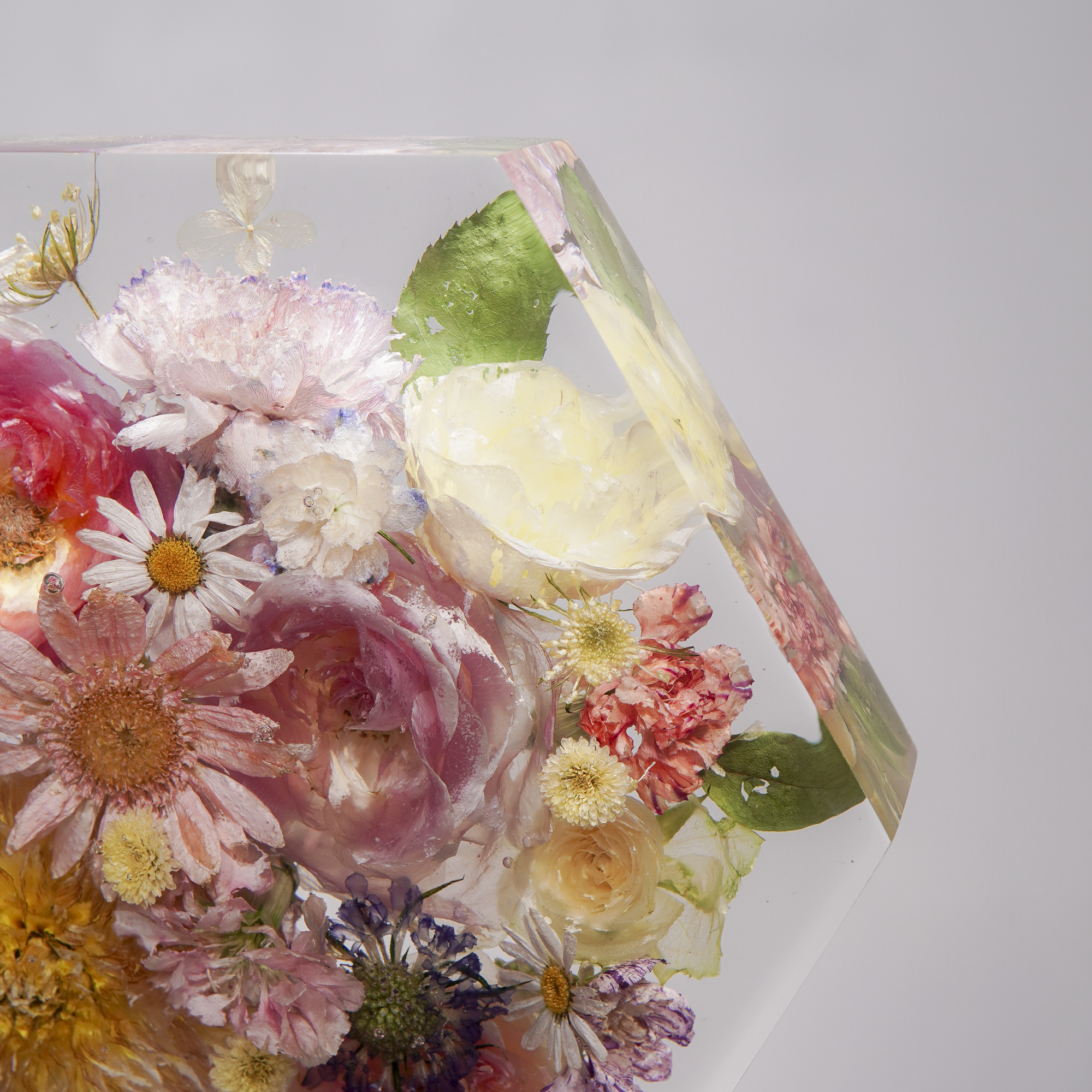 Đèn Hoa Độc Bản Bloomlight BLL2825-60_thumbnail_2