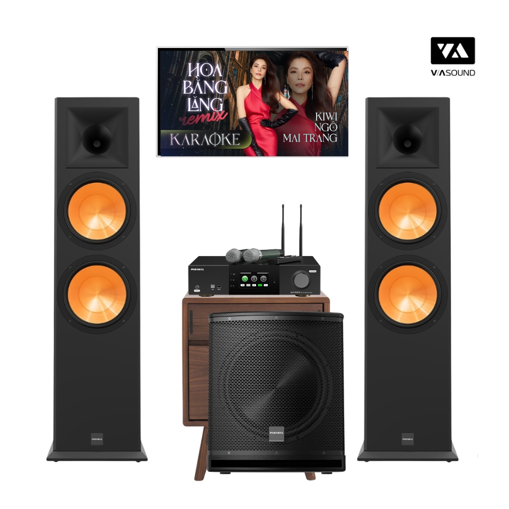 COMBO KARAOKE PARAMAX EURO 1002 LIMITED - PARA 2