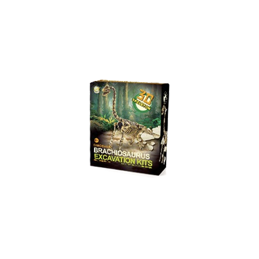Dino Excavación_thumbnail_11