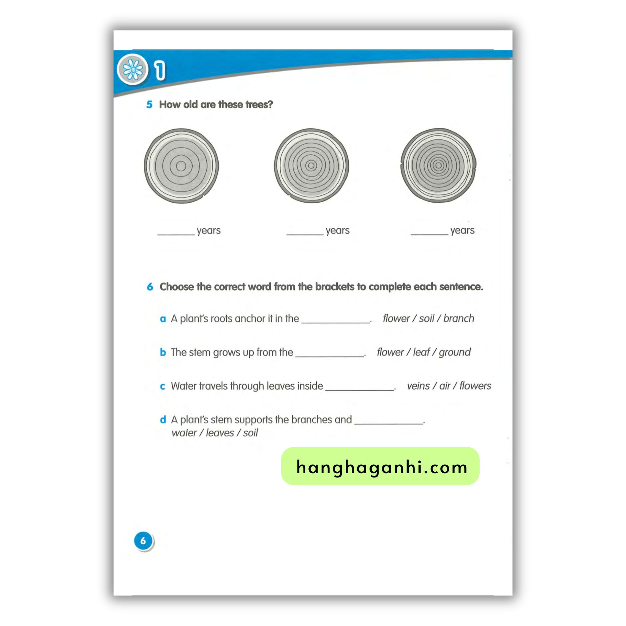 Macmillan Science 3 Workbook_thumbnail_6