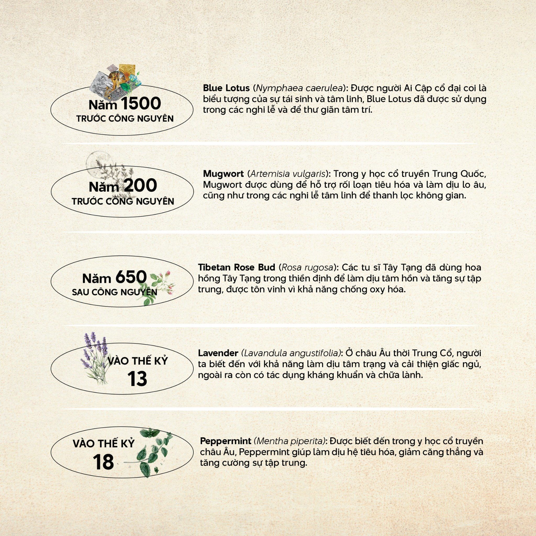 EcoBox Weekly - Eco Herb - Fresh Herbs Everyweek | Natural's Heal_thumbnail_4