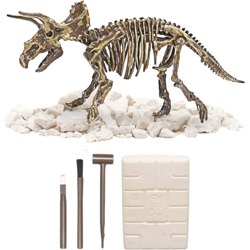 Dino Excavación_thumbnail_7