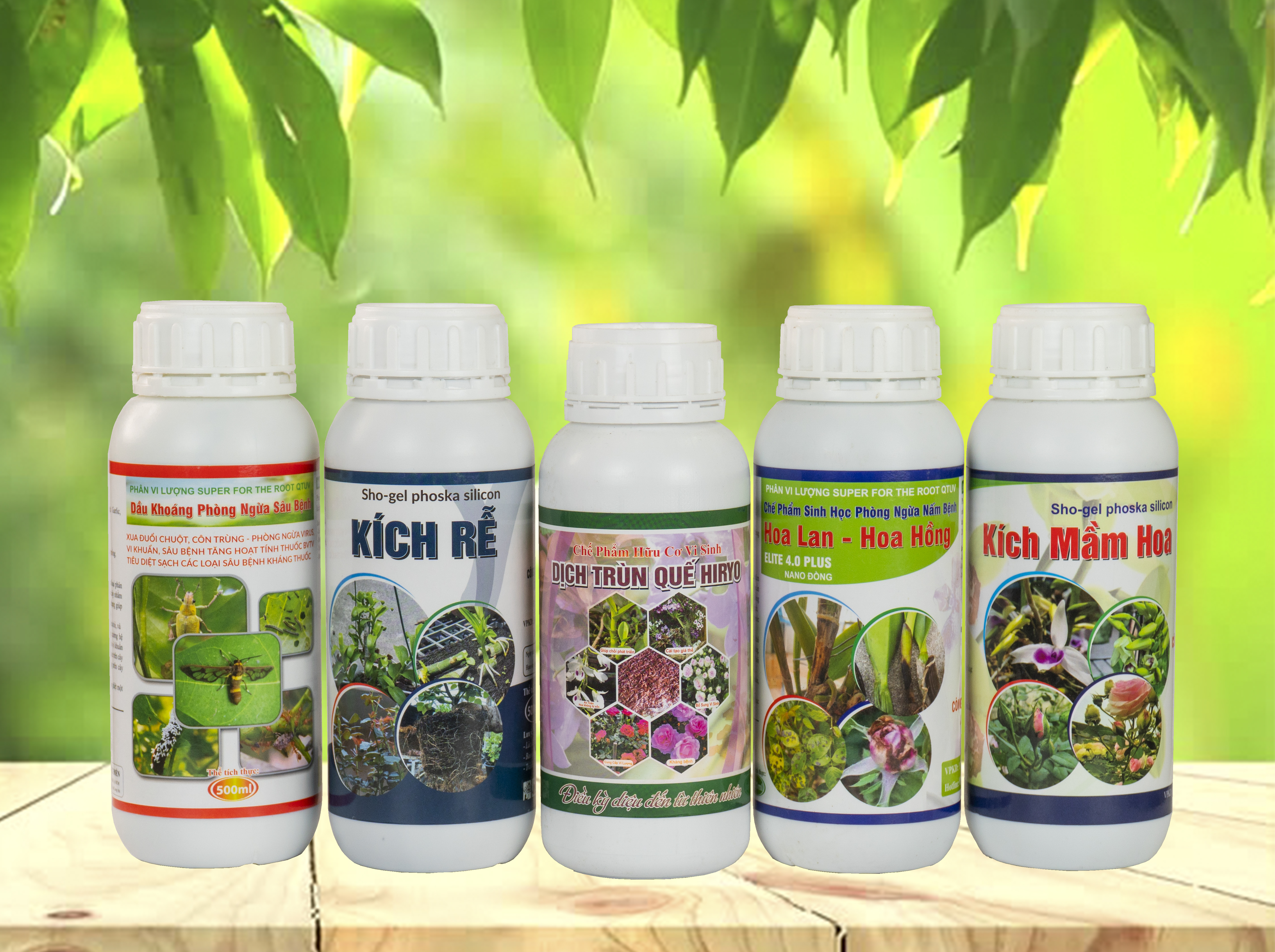 Combo Chăm Sóc Hoa Hồng Plus