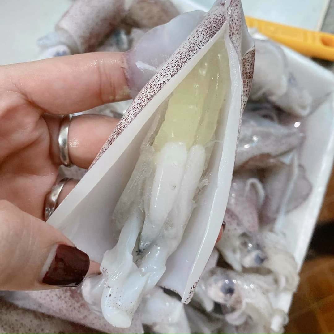 Mực Ống Trứng_thumbnail_0