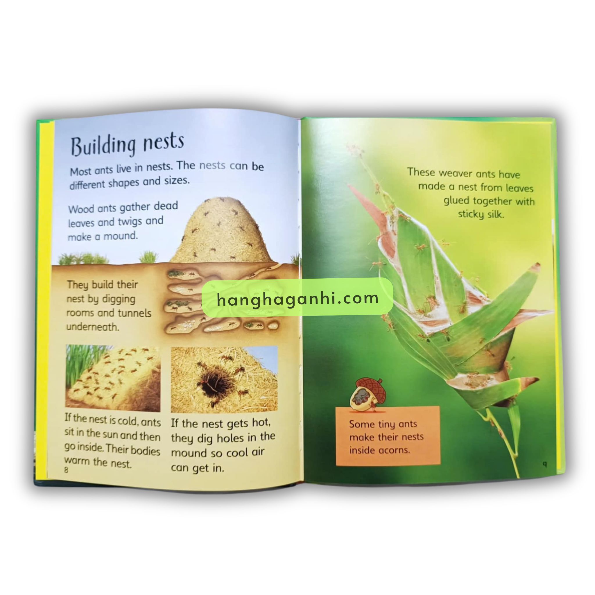 Bộ sách Usborne Beginners Nature Box Set Collection -10 cuốn_thumbnail_7