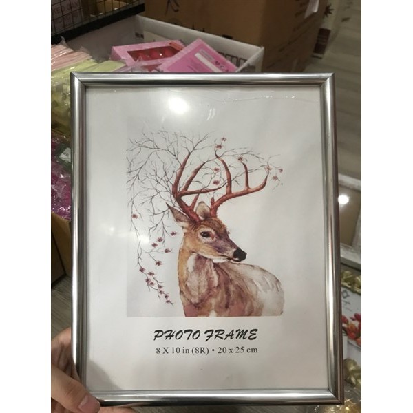 Khung ảnh 8 x 10 (20 x25 cm)