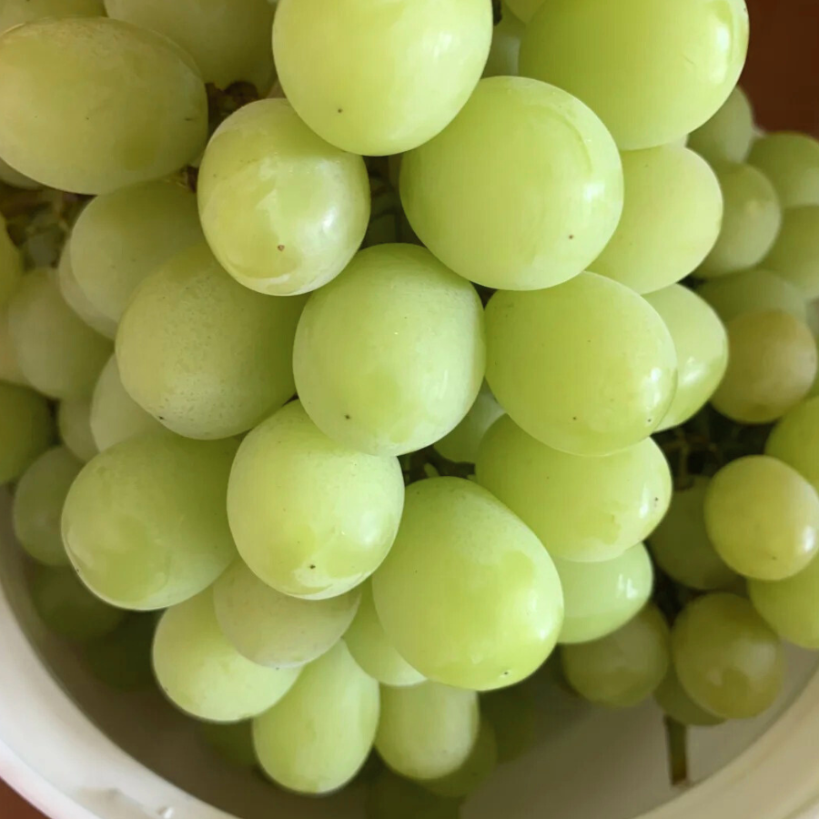Nho Xanh Chile_thumbnail_6