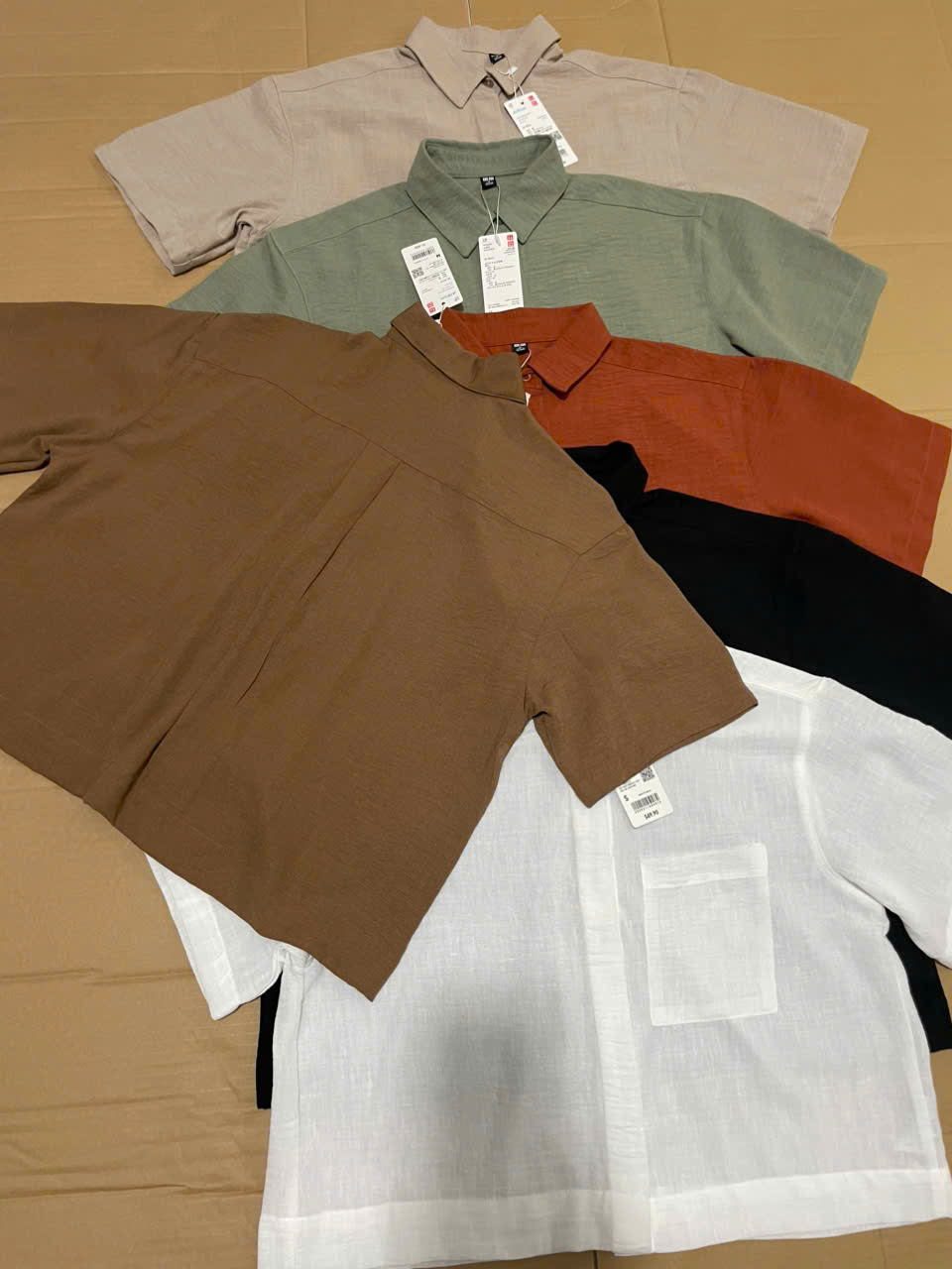 AM173 Sơmi Uni (lê- vê)_thumbnail_1