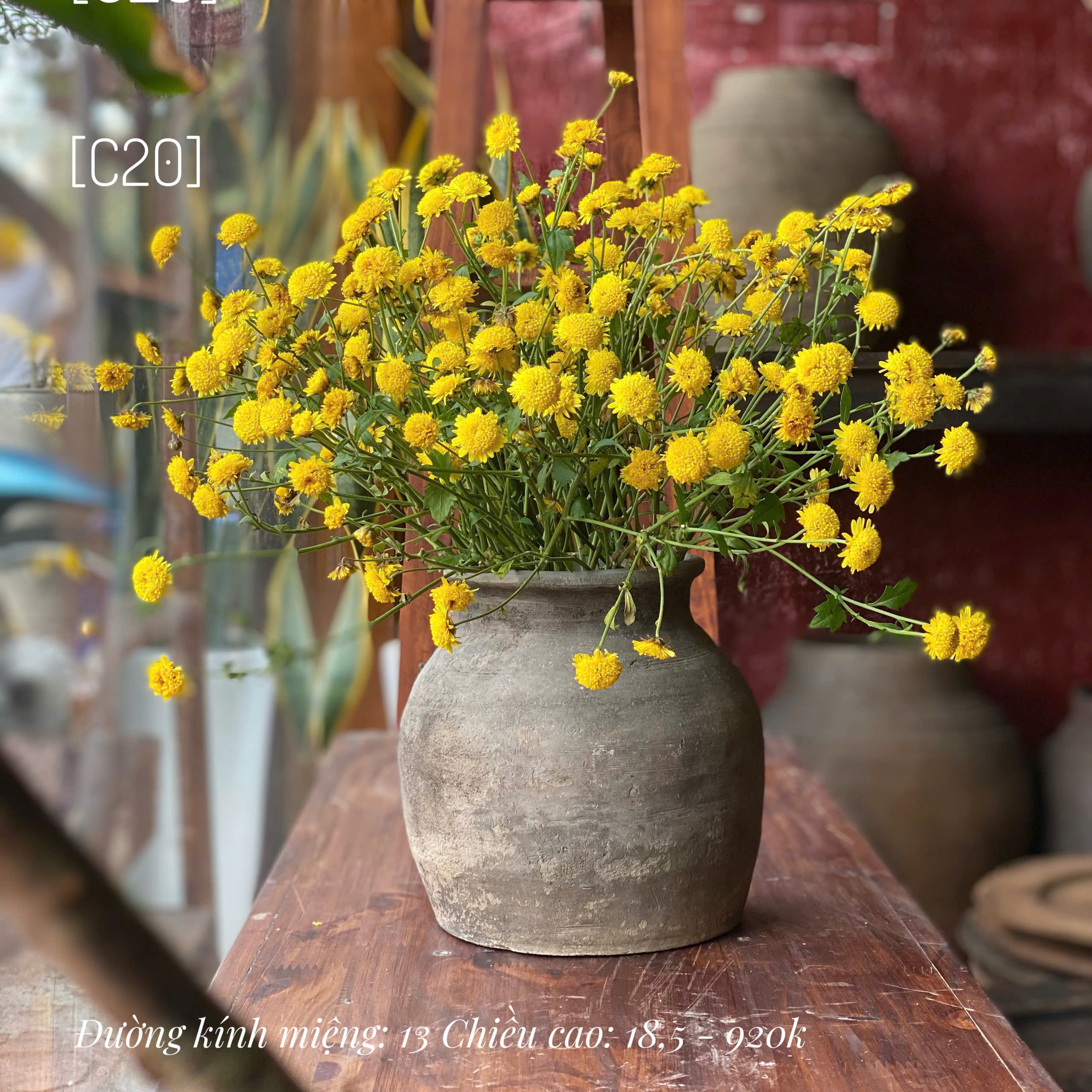 Bình Mường Chanh nhỏ C20