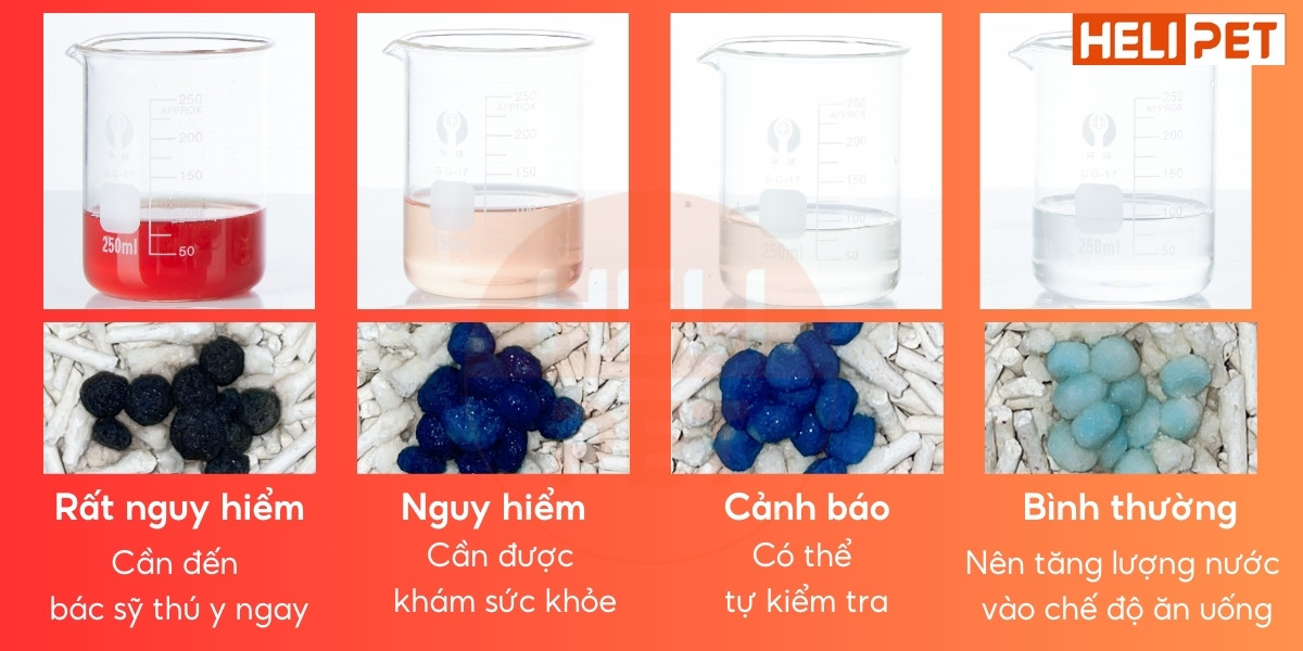 DR.VET Blood Detection Beads