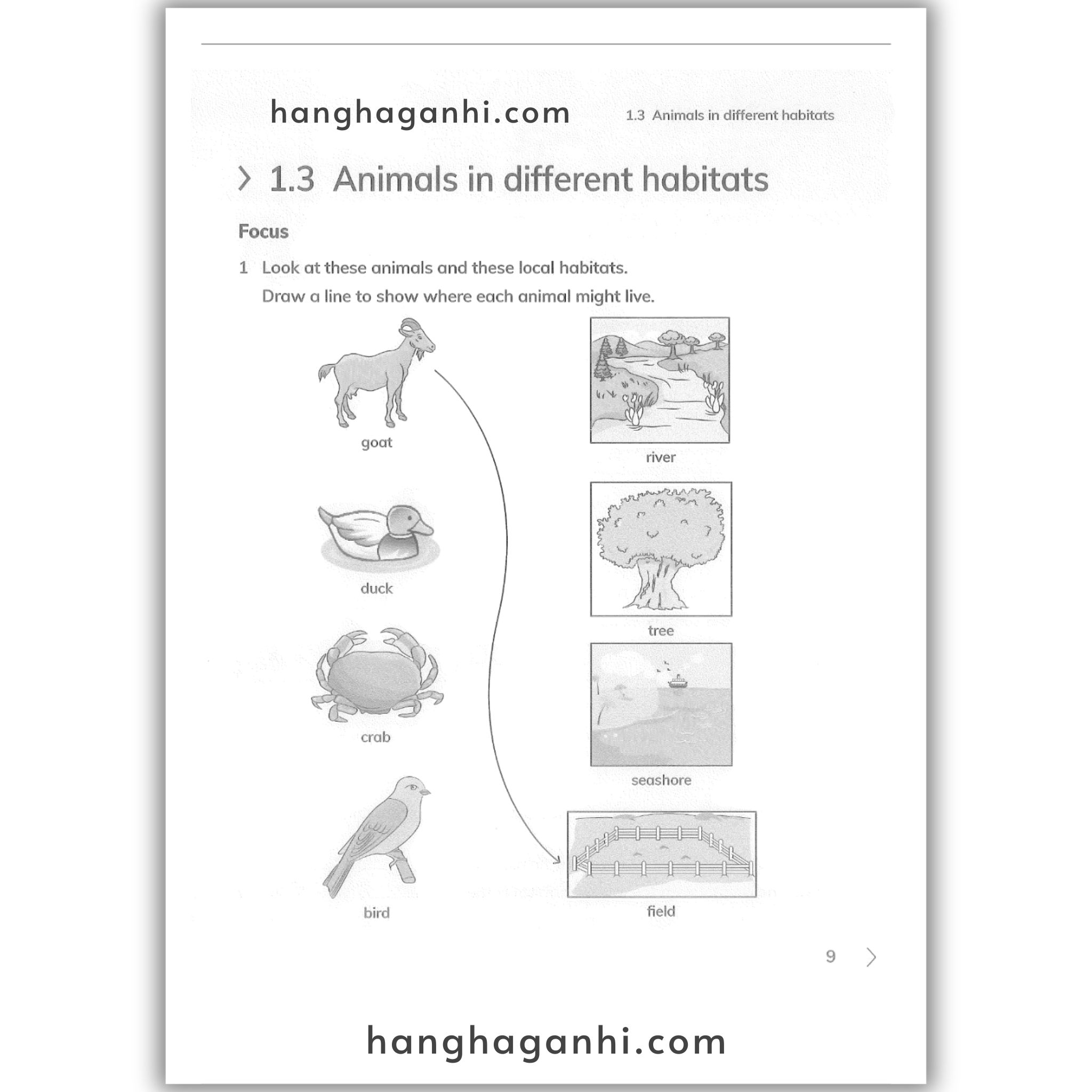 Cambridge Level 2 Primary Science Workbook 2nd edition 2021_thumbnail_9