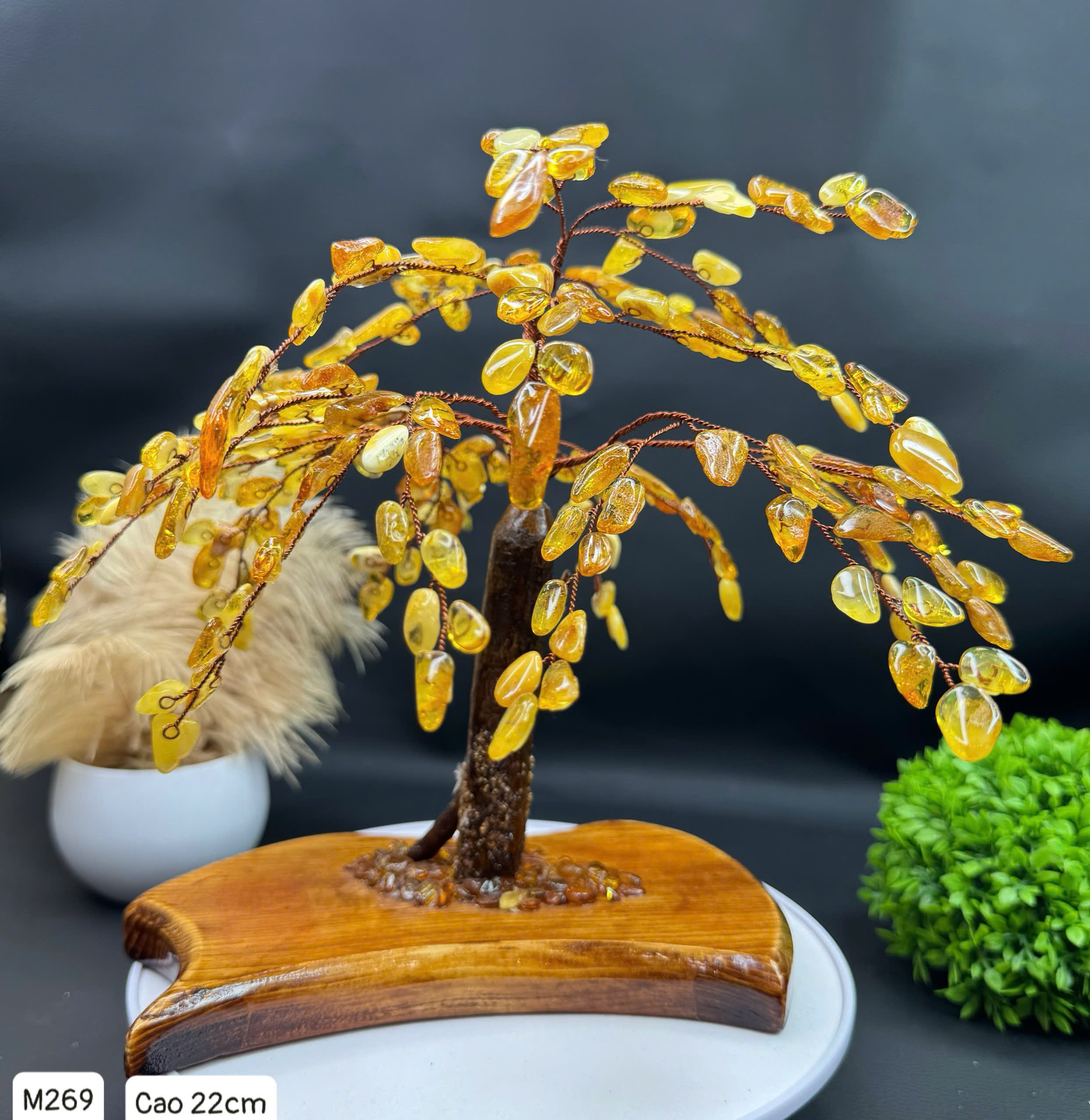 Cây Hổ Phách Tự Nhiên - M269