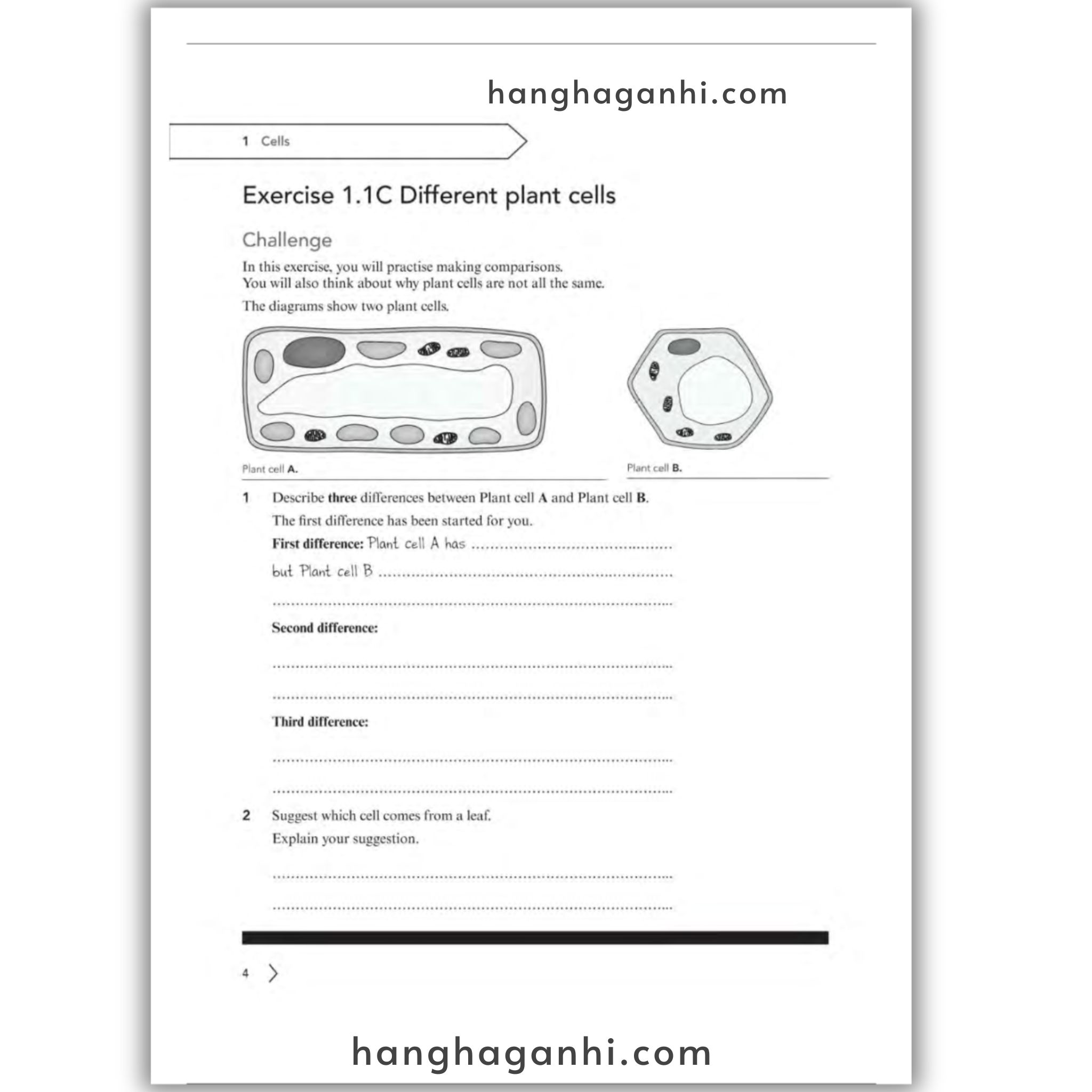 Cambridge Level 7 Lower Seconday Science Workbook 2nd Edition 2021_thumbnail_3